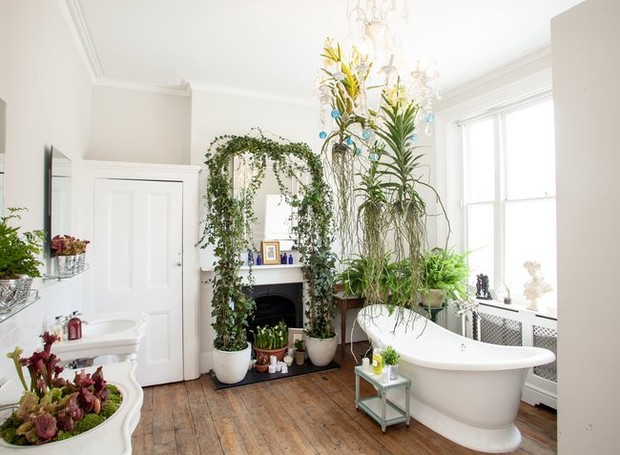Um banheiro aconchegante merece plantas por toda parte. Veja as melhores espécies para o cômodo (Foto: The Joy of Plants/ Reprodução)